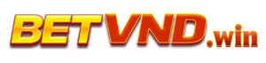 logo betvnd